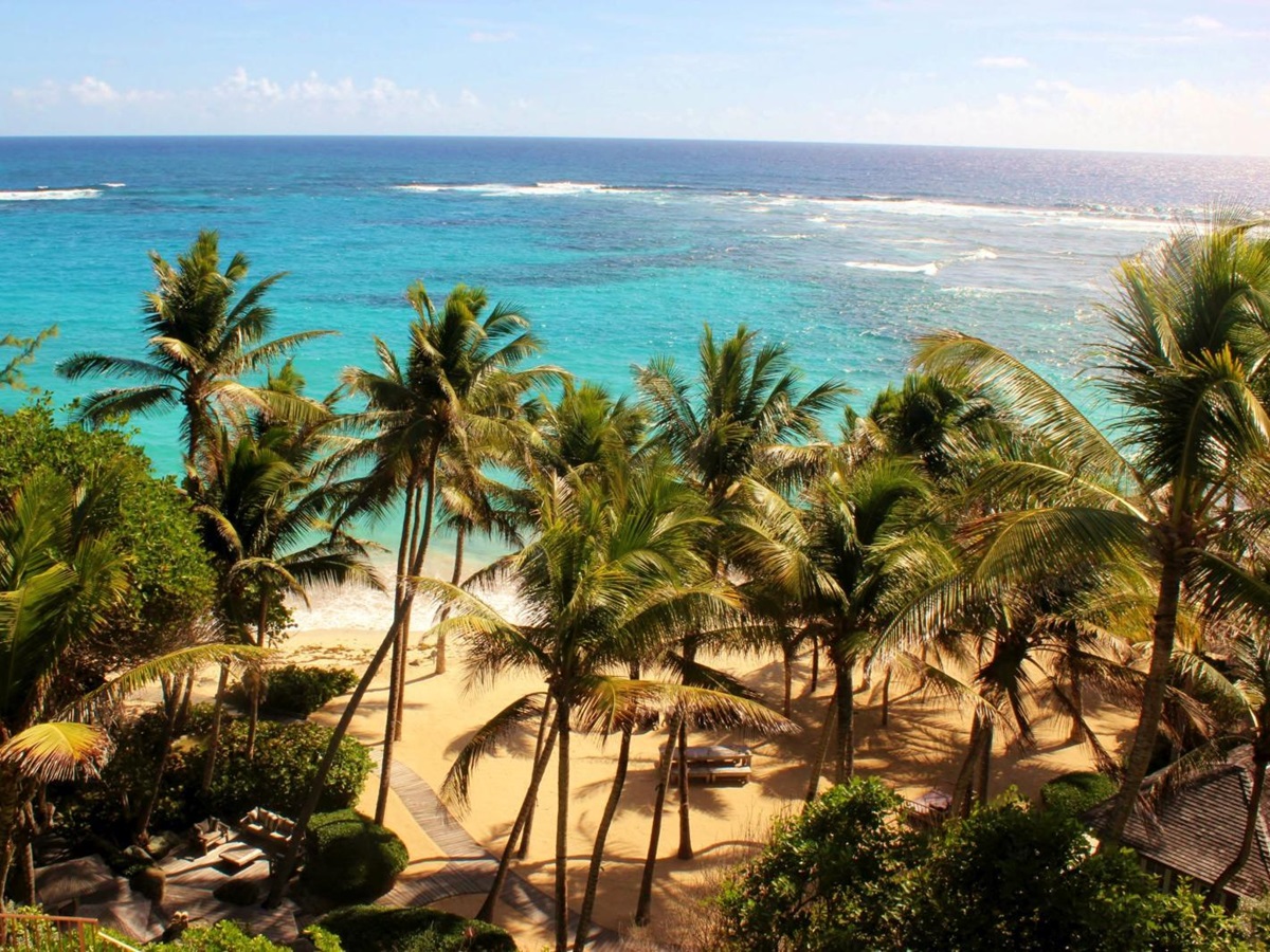 Palm trees on the beach of Sunrise, Mustique