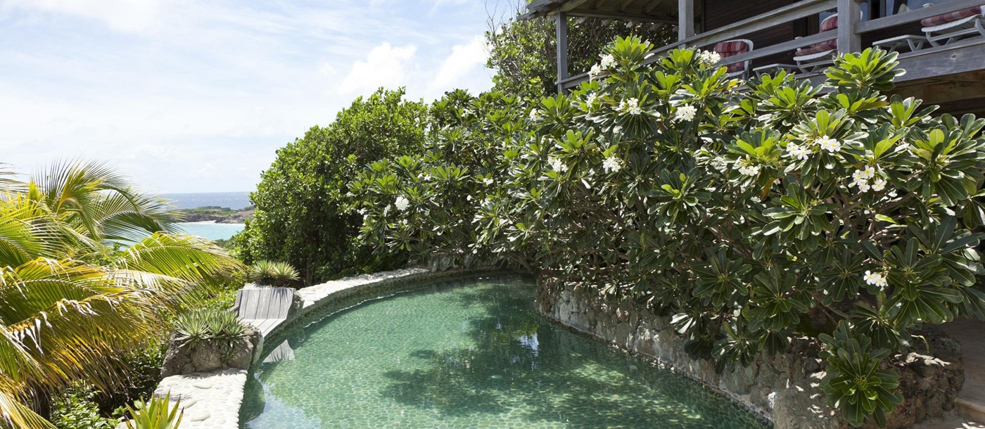 Swimming pool of White Cedars, Mustique