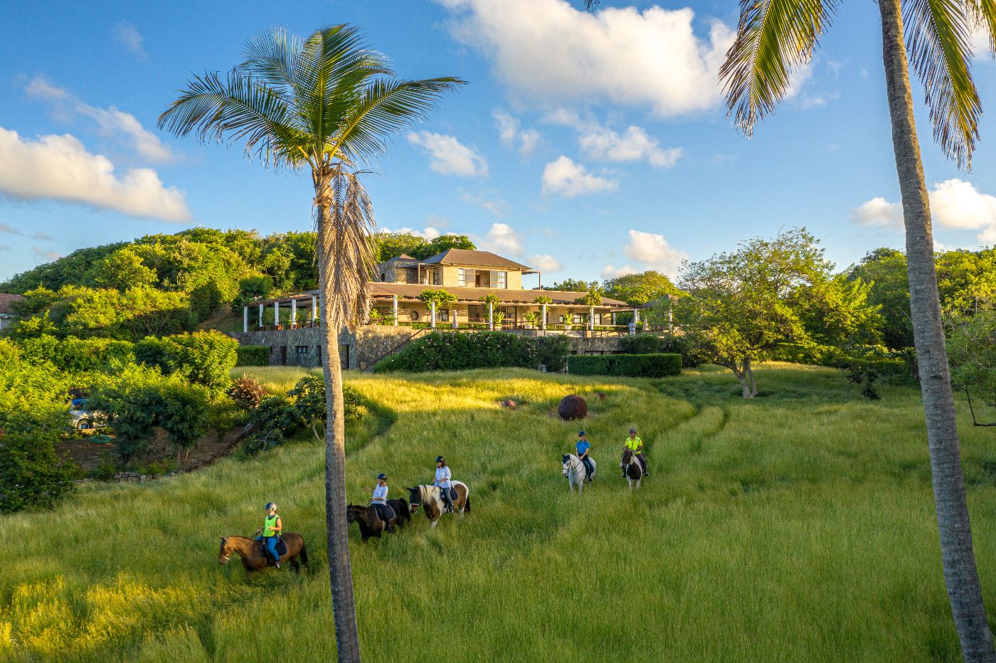 Grounds of Wyler House in Mustique