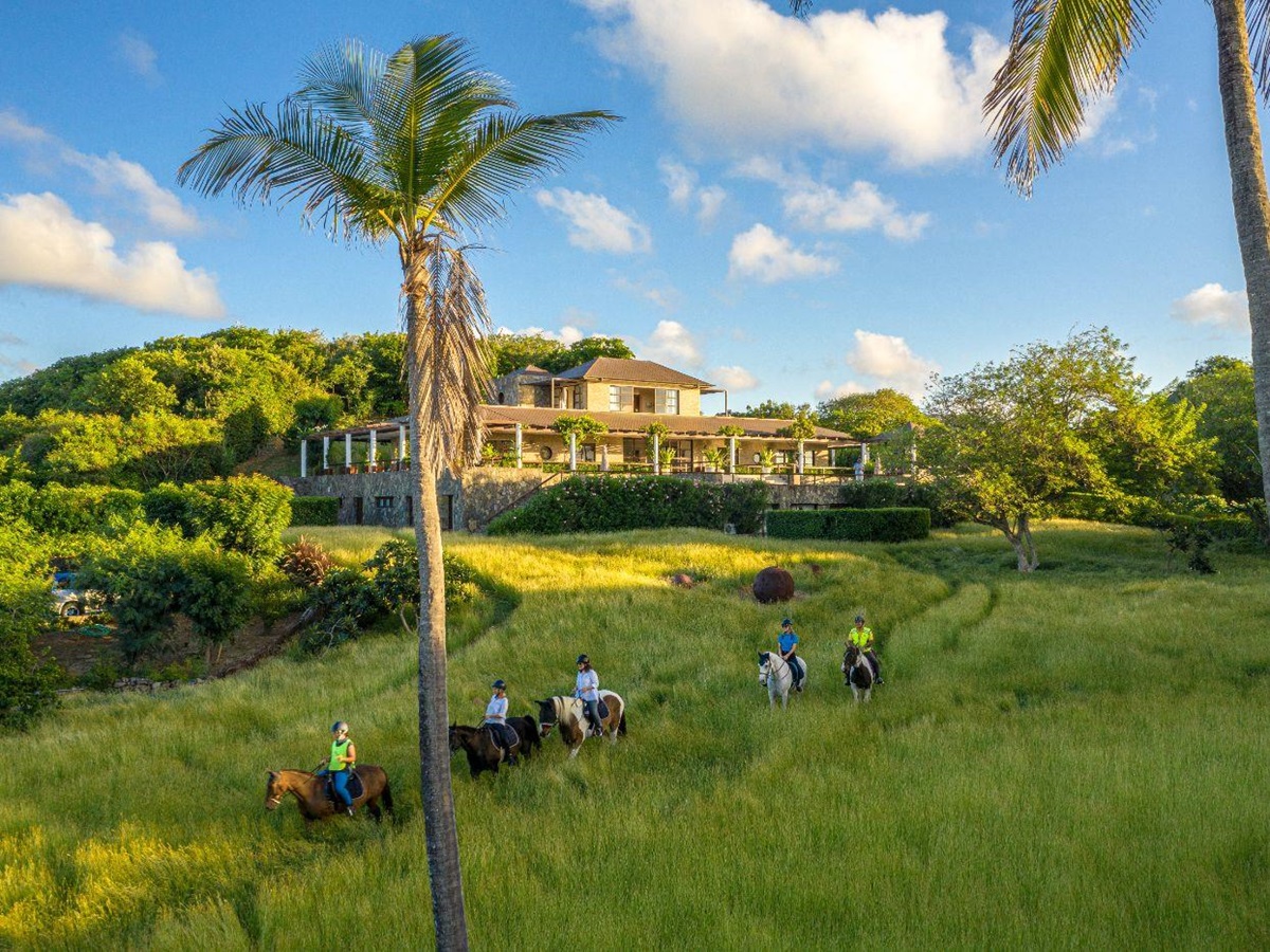 Grounds of Wyler House in Mustique