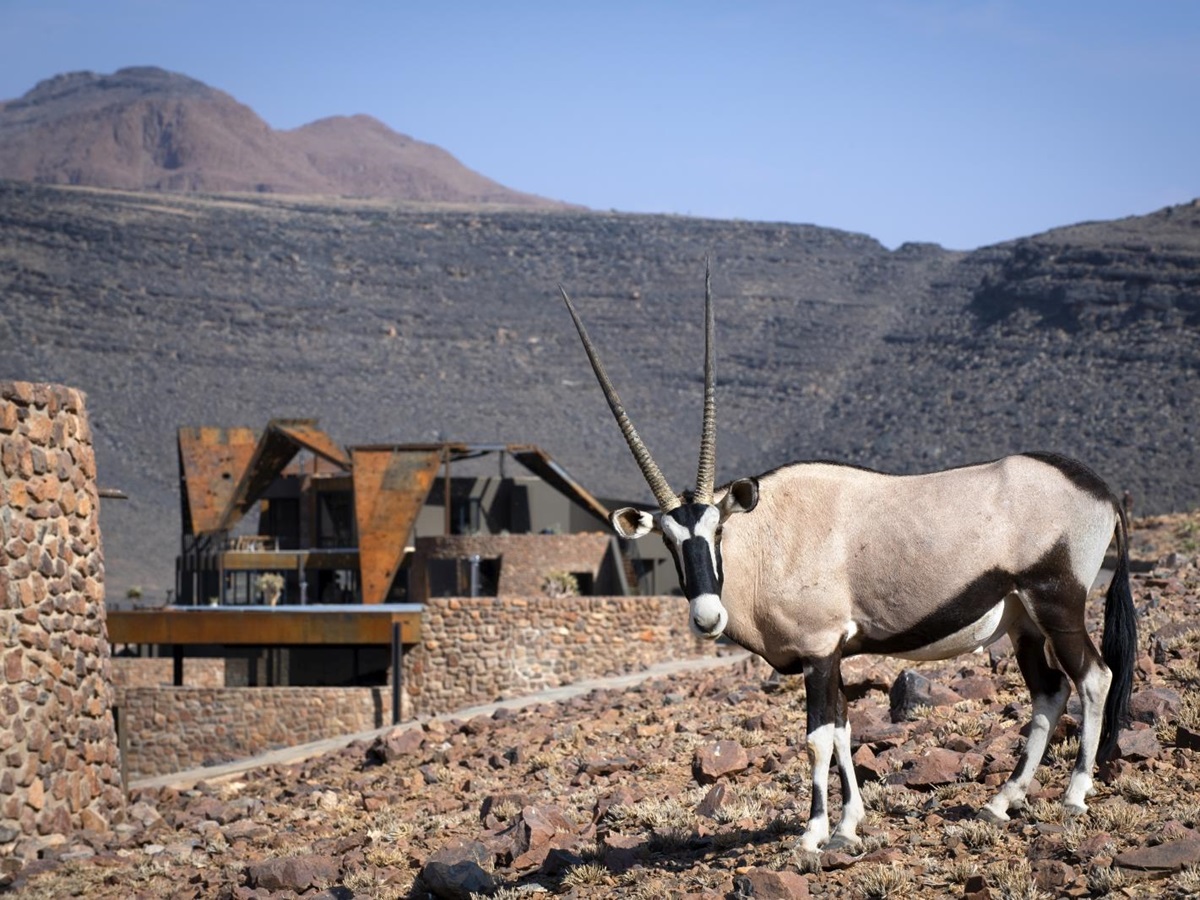 Oryx standing outside the main lodge