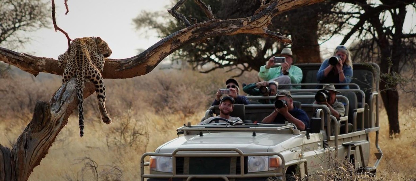 Safari experience at luxury lodge Okonjima Bush Camp in Namibia