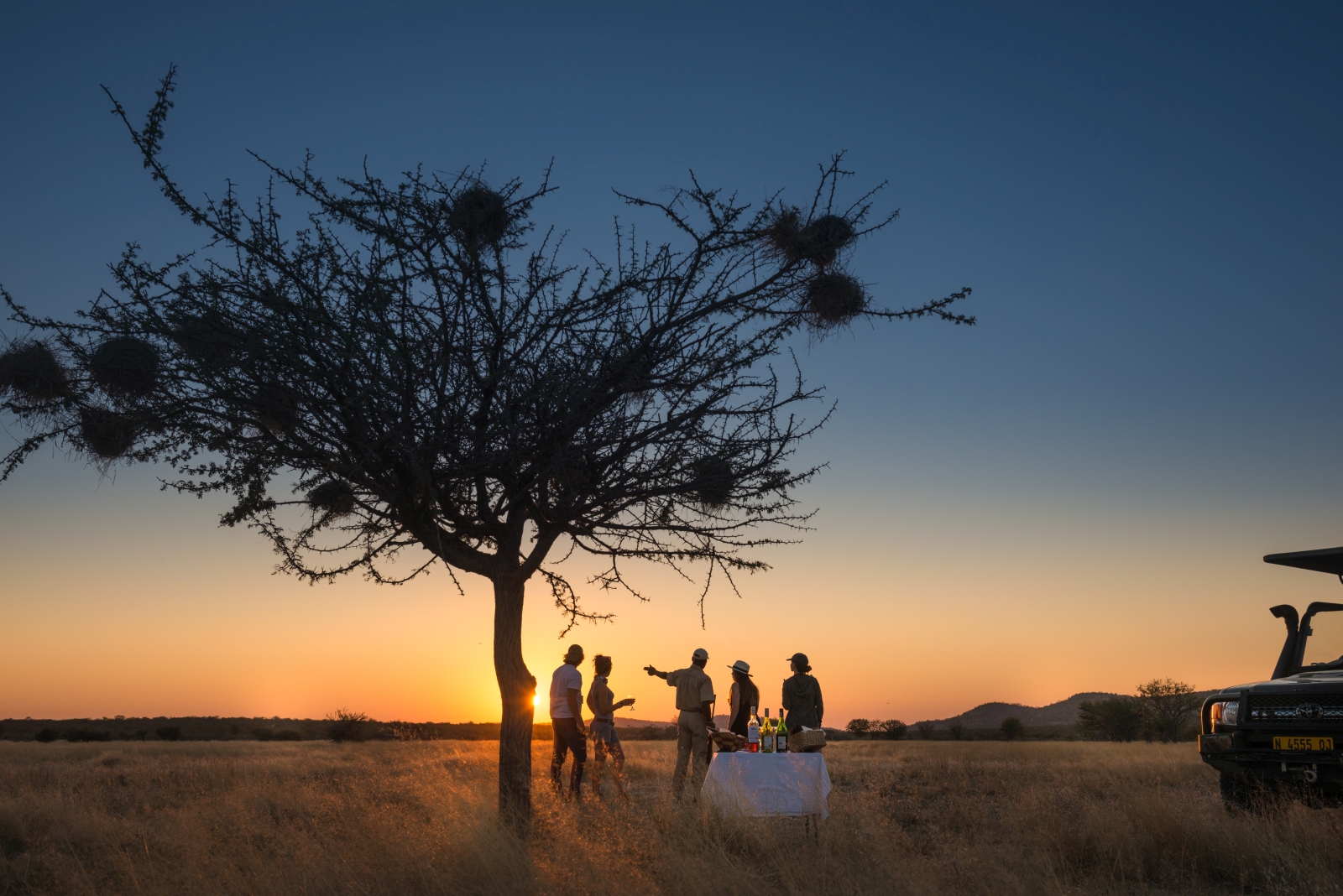 Sundowners under an acacia tree at Ongava Lodge