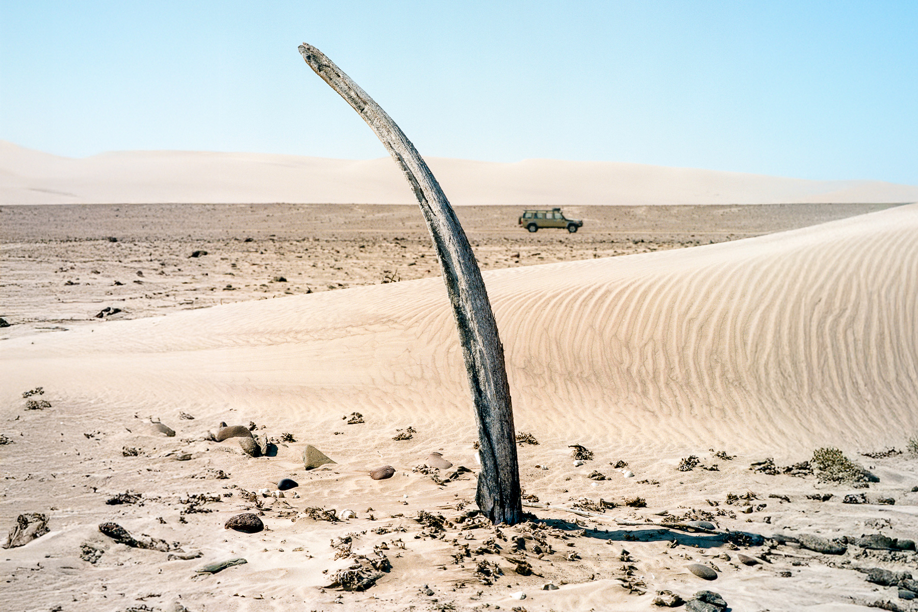 Shipwreck Lodge nature drive past whale bones on the Skeleton Coast