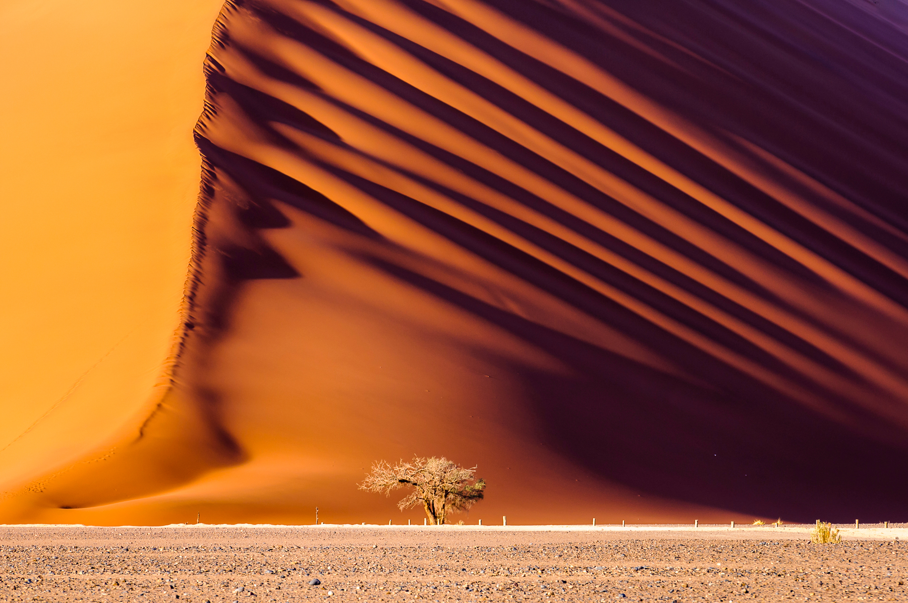 Dune 45 in Sossusvlei, Namibia