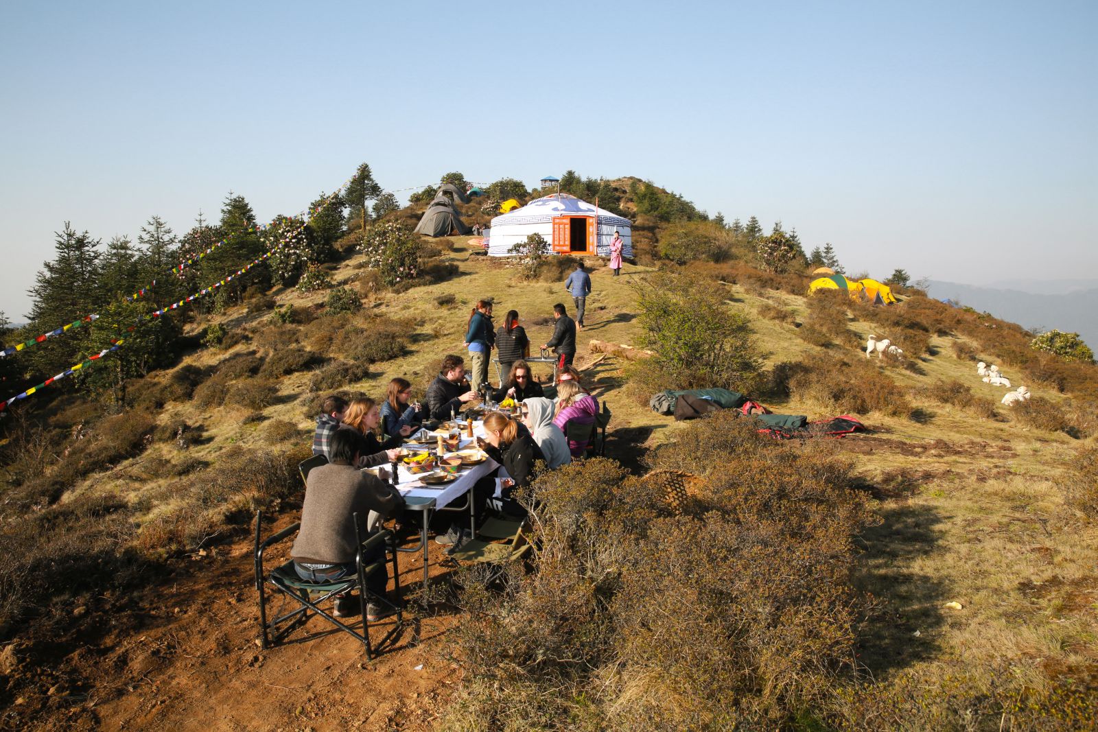 Group of people outside camping