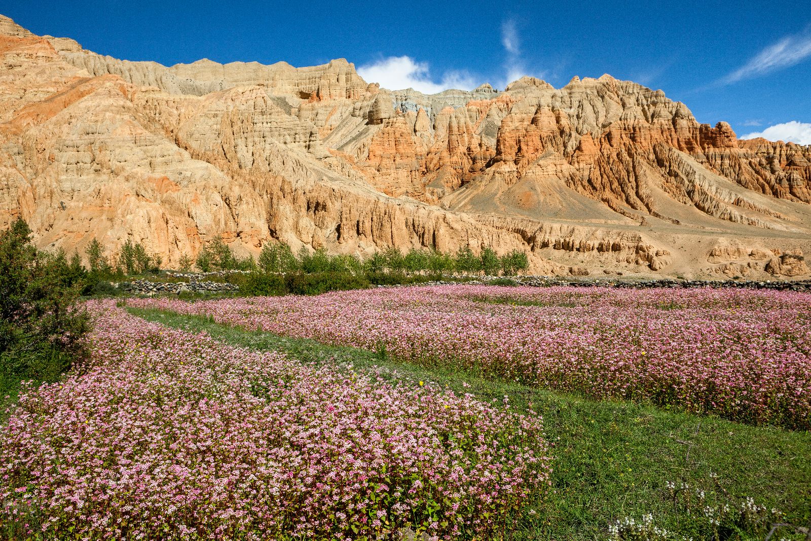 Fields and valleys in Mustang, Nepal