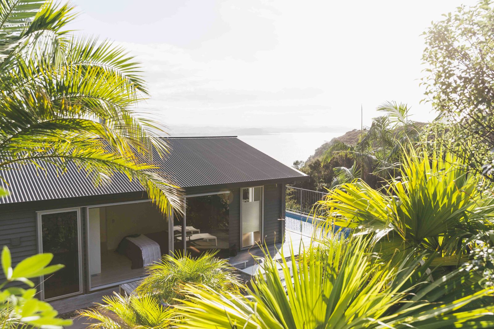 The Eyrie villa New Zealand exterior view with palm trees and native bush