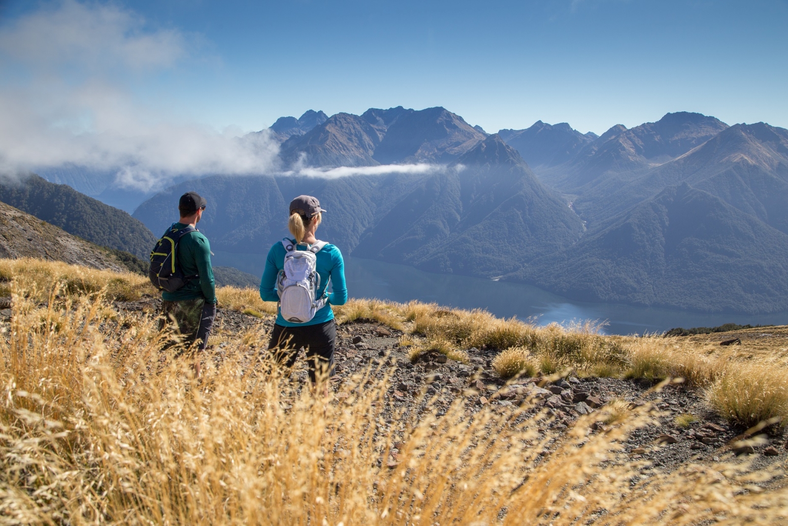 Two hikers looking towards mountains with long grass