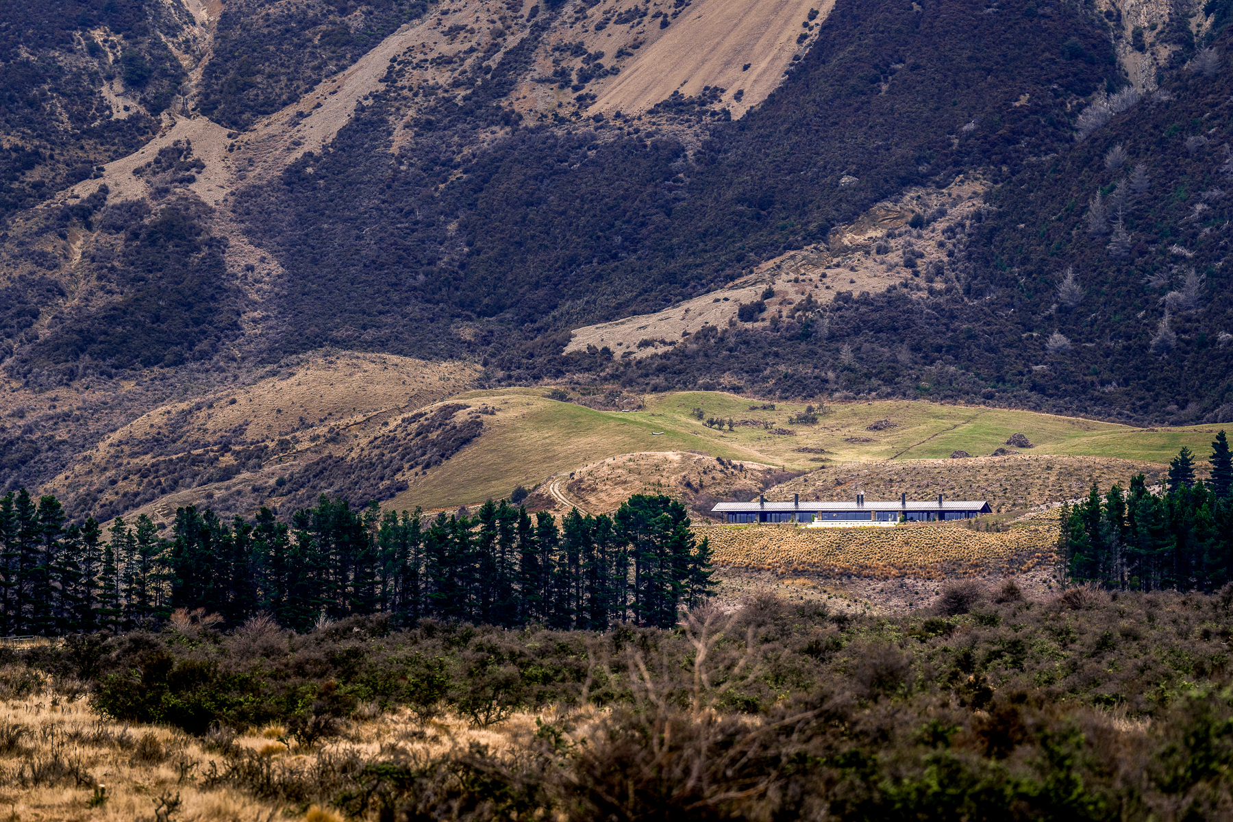 Flockhill wedged in the foothills
