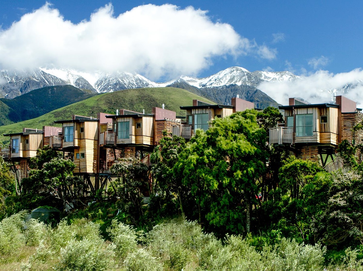 Exterior view of tree houses at Hapuku Lodge & Tree Houses