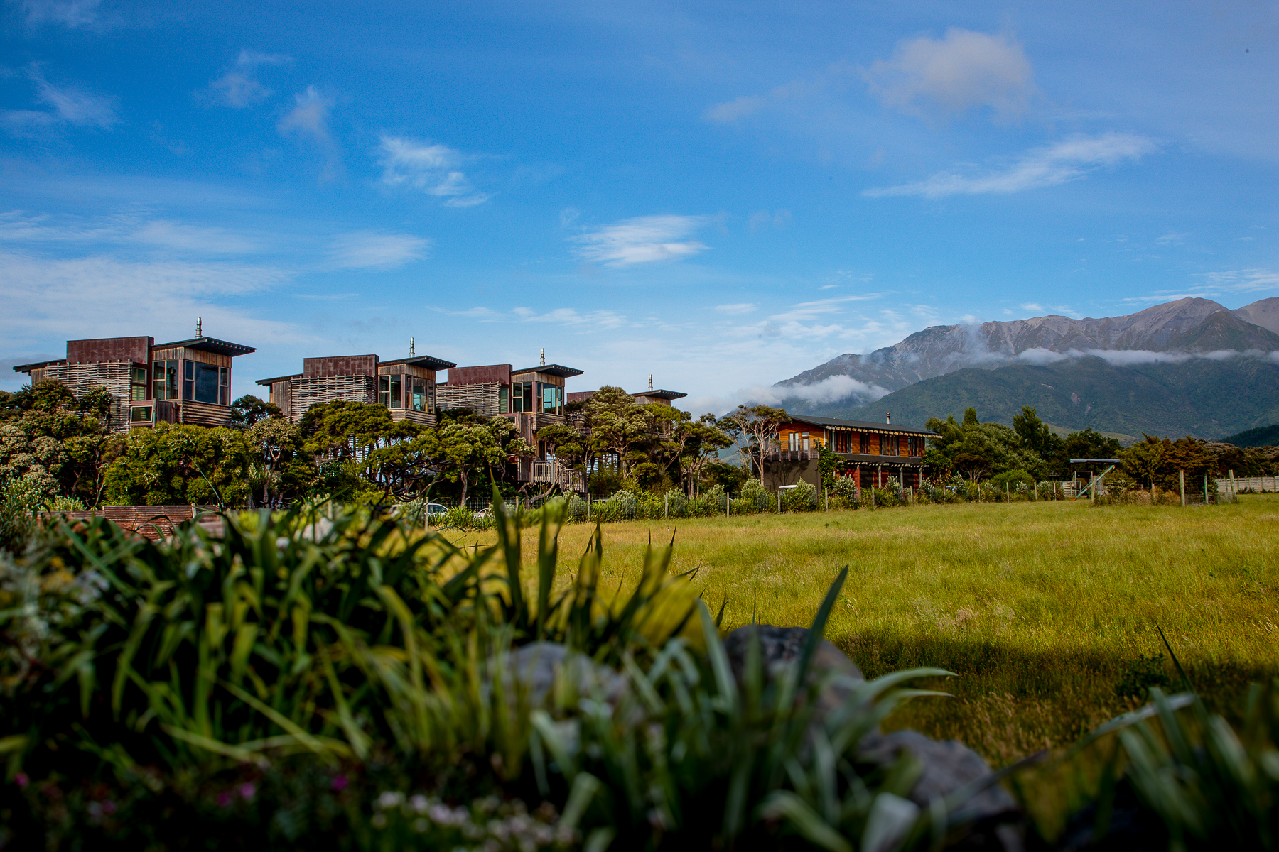 Exterior view of tree houses at Hapuku Lodge & Tree Houses