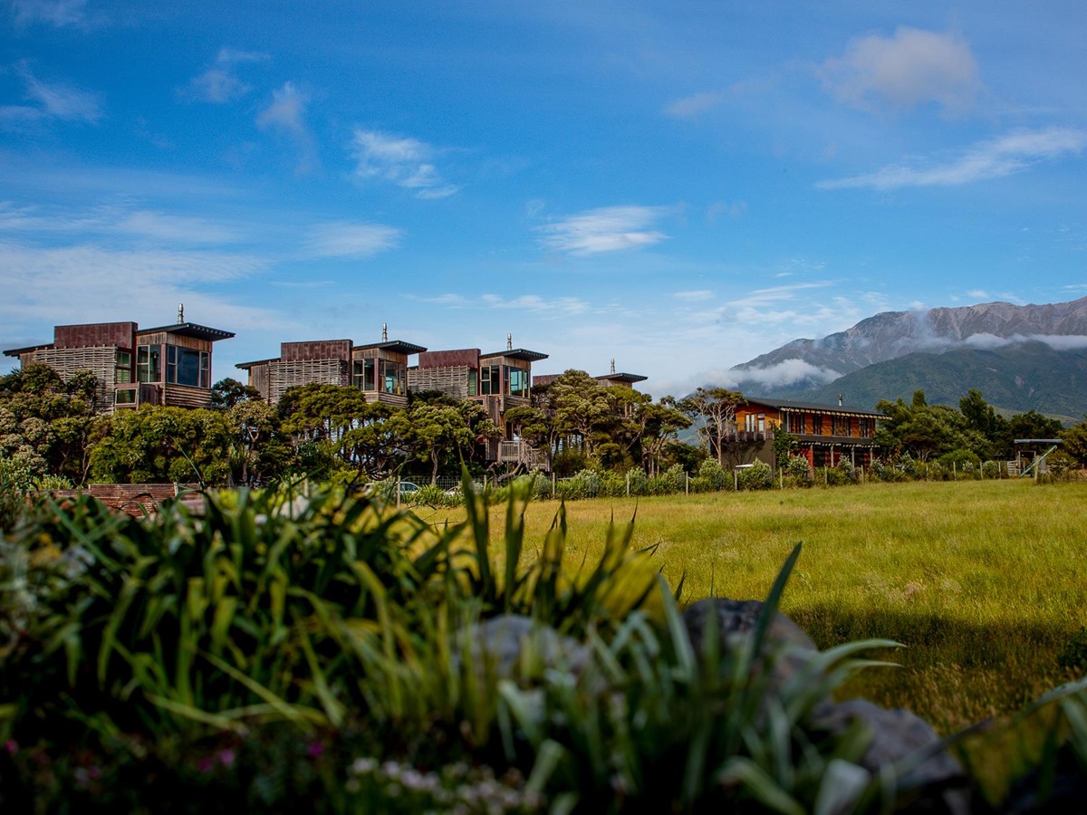 Exterior view of tree houses at Hapuku Lodge & Tree Houses