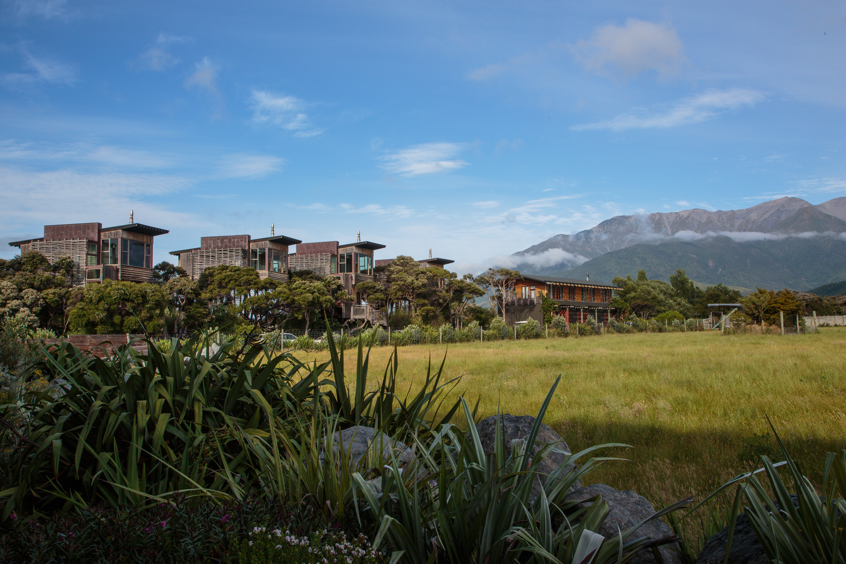 Treehouses at Hapuku Lodge