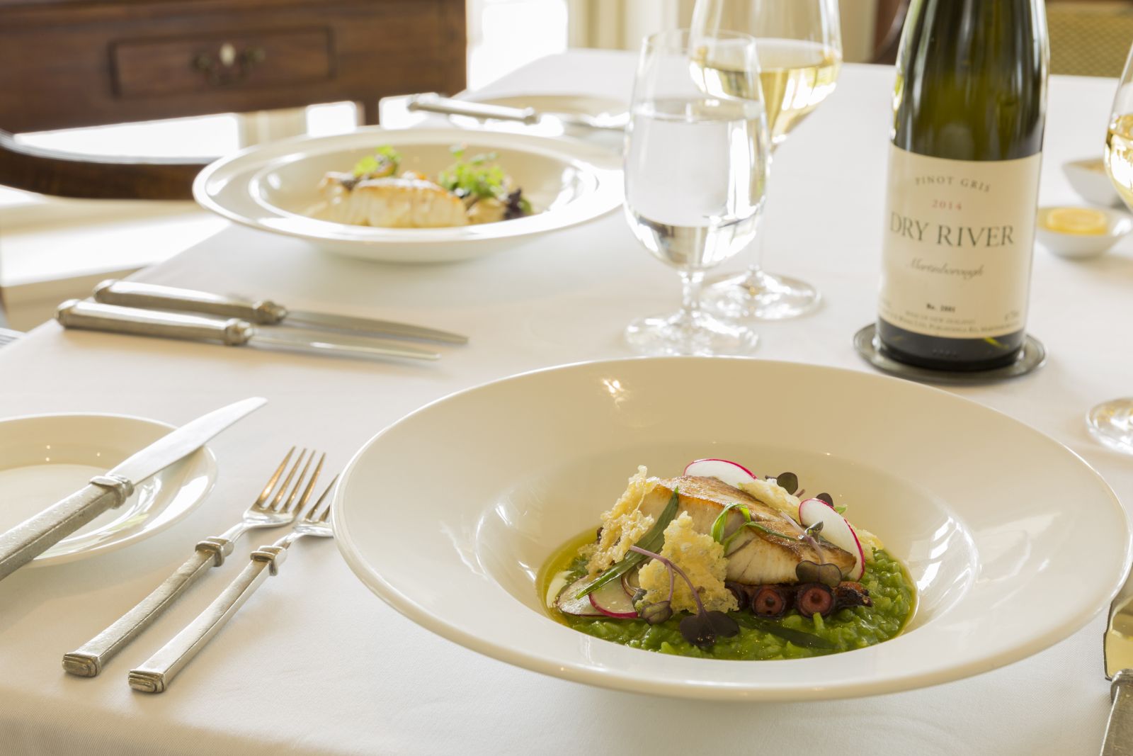 Dining table with cuisine and wine