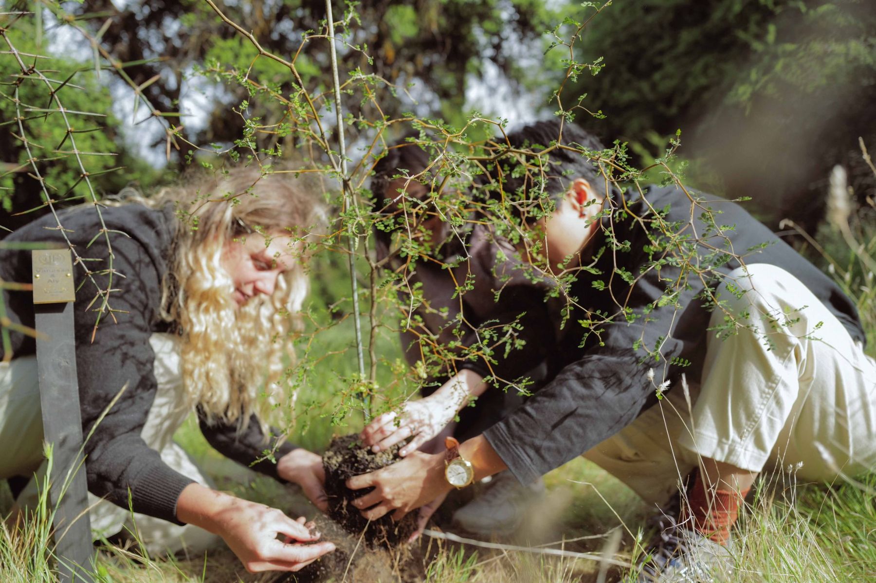 Two people planting a tree at Lake Hawea Station New Zealand