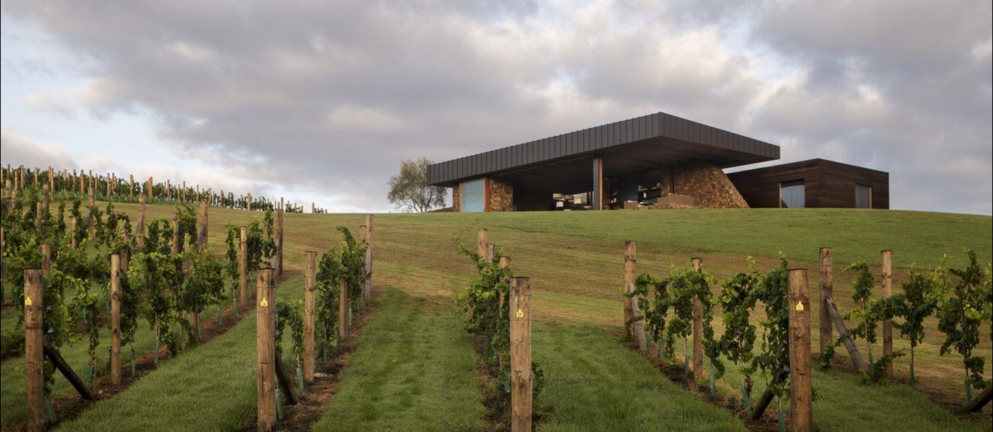 The Landing New Zealand The Vineyard exterior with grapevines in front