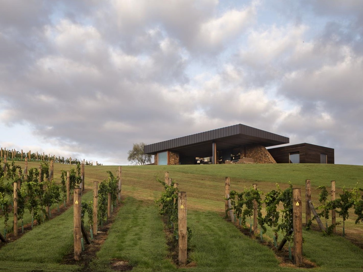 The Landing New Zealand The Vineyard exterior with grapevines in front