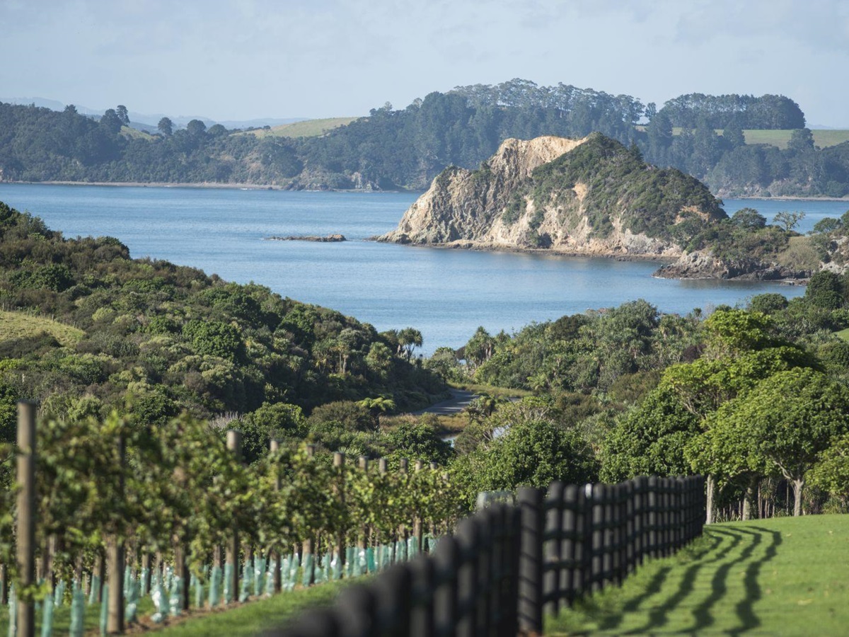 The Landing New Zealand The Vineyard views over the private vineyard and bay