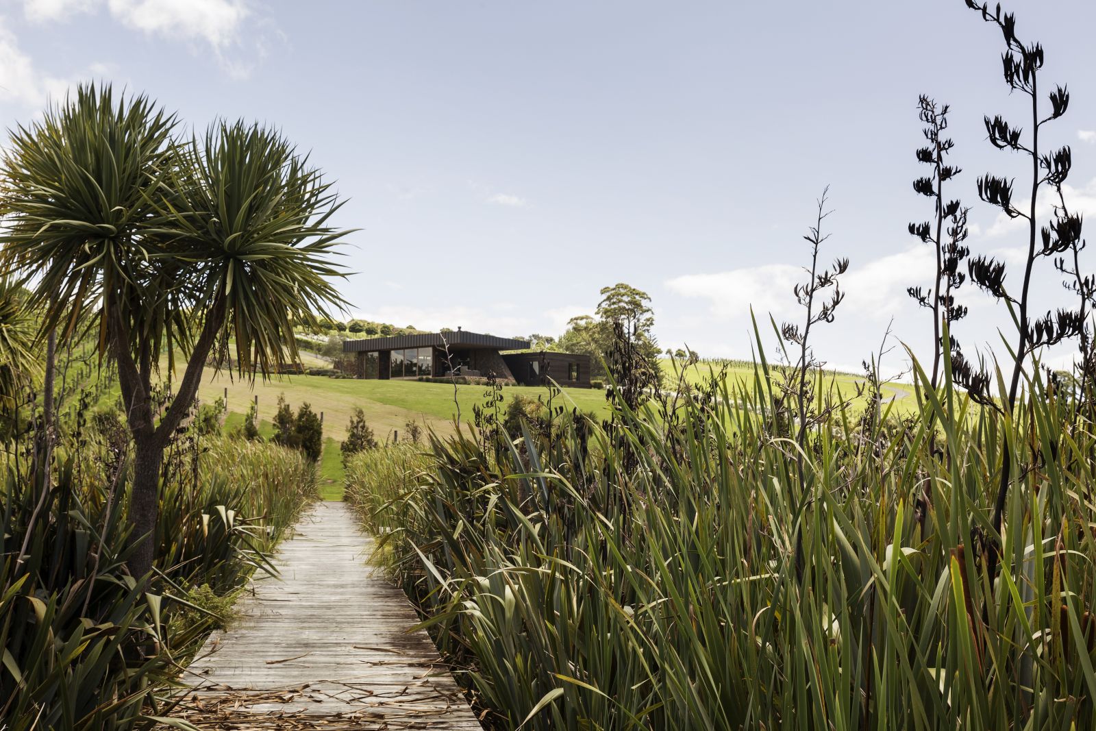 The Landing New Zealand The Vineyard private walk through native bush with the property in the background