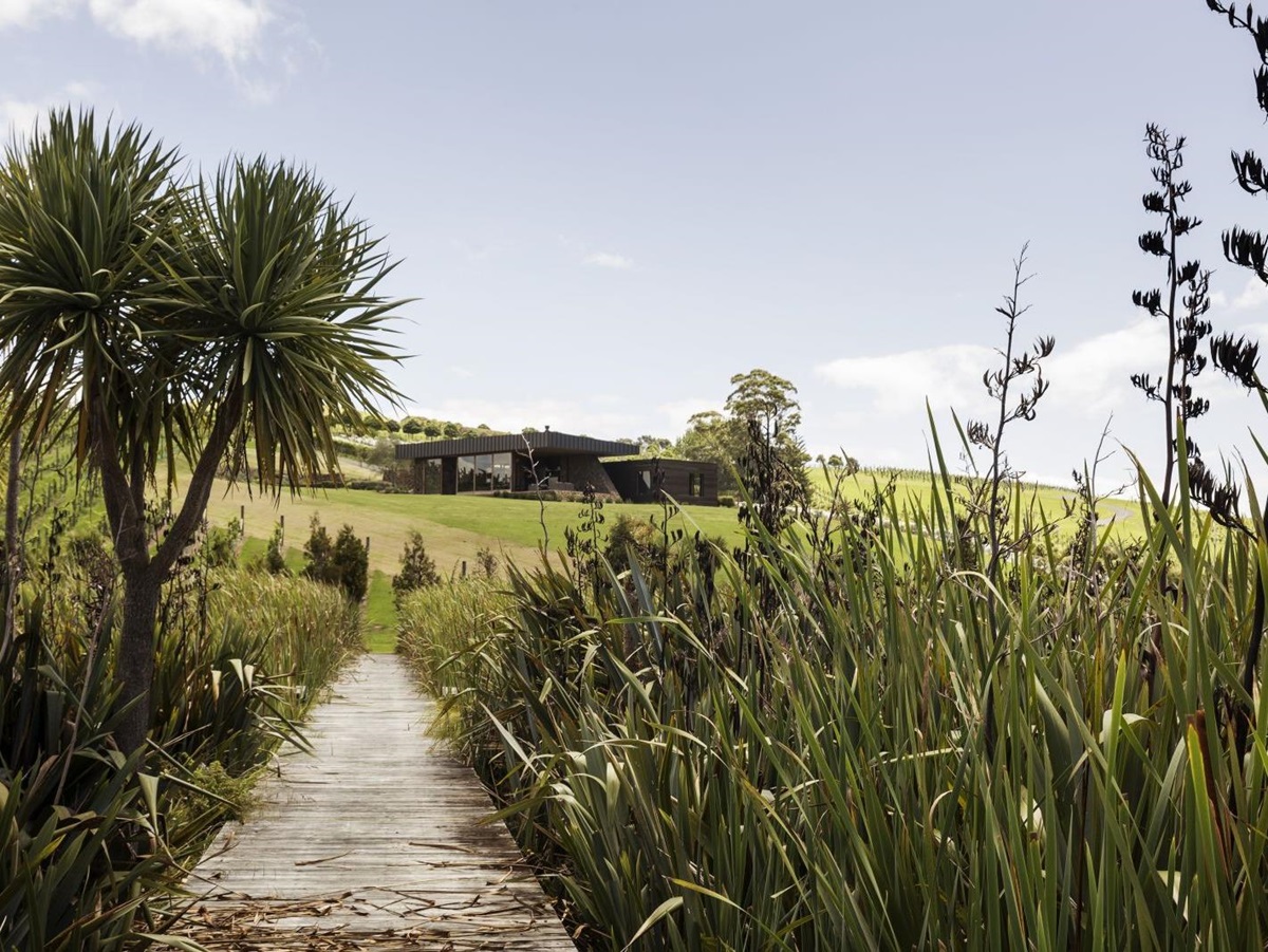The Landing New Zealand The Vineyard private walk through native bush with the property in the background