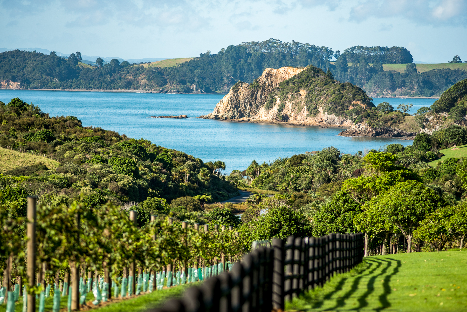 Vineyards at The Landing Residences in New Zealand