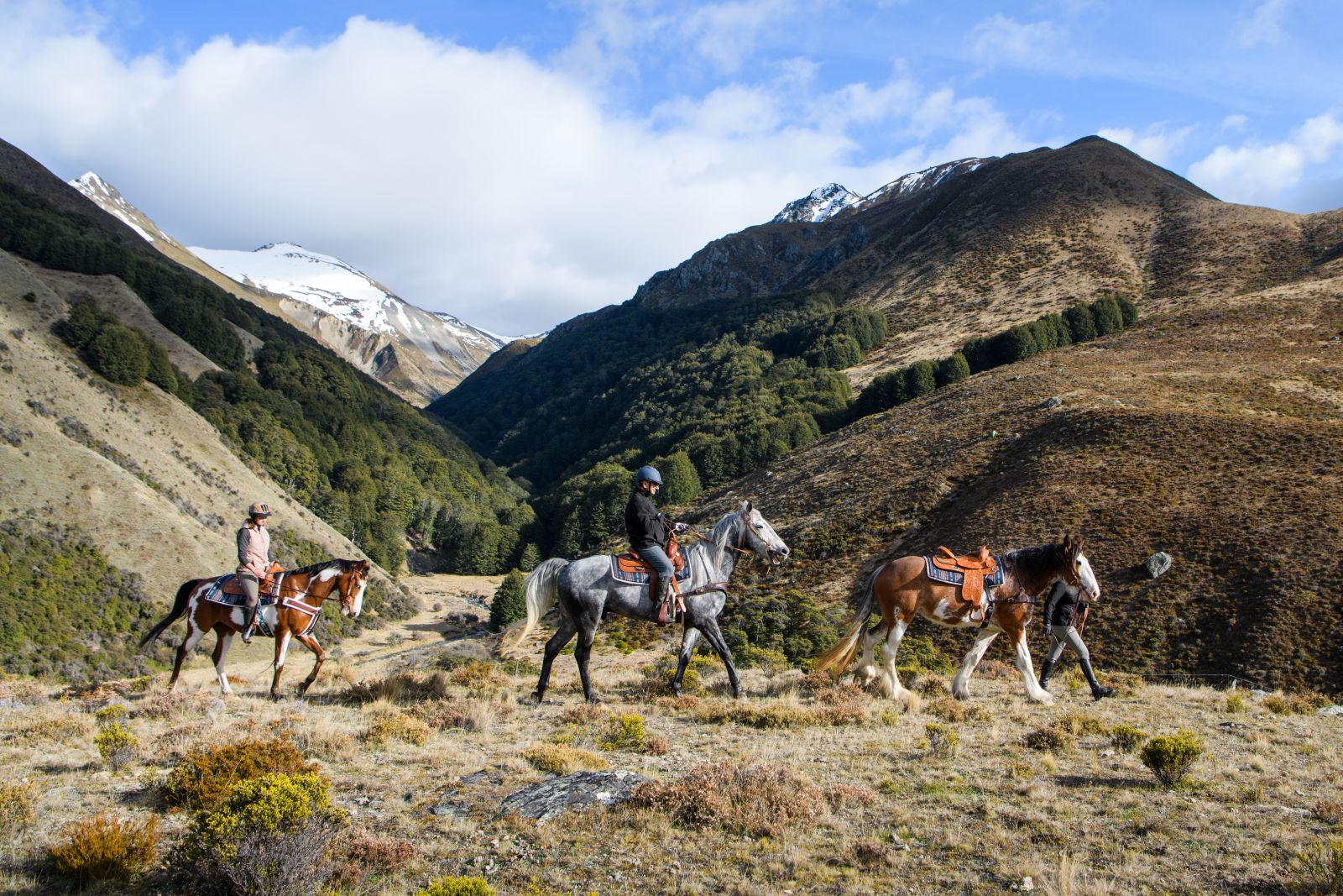 Two people riding and one person leading a horse across the mountains at The Lindis Lodge in New Zealand