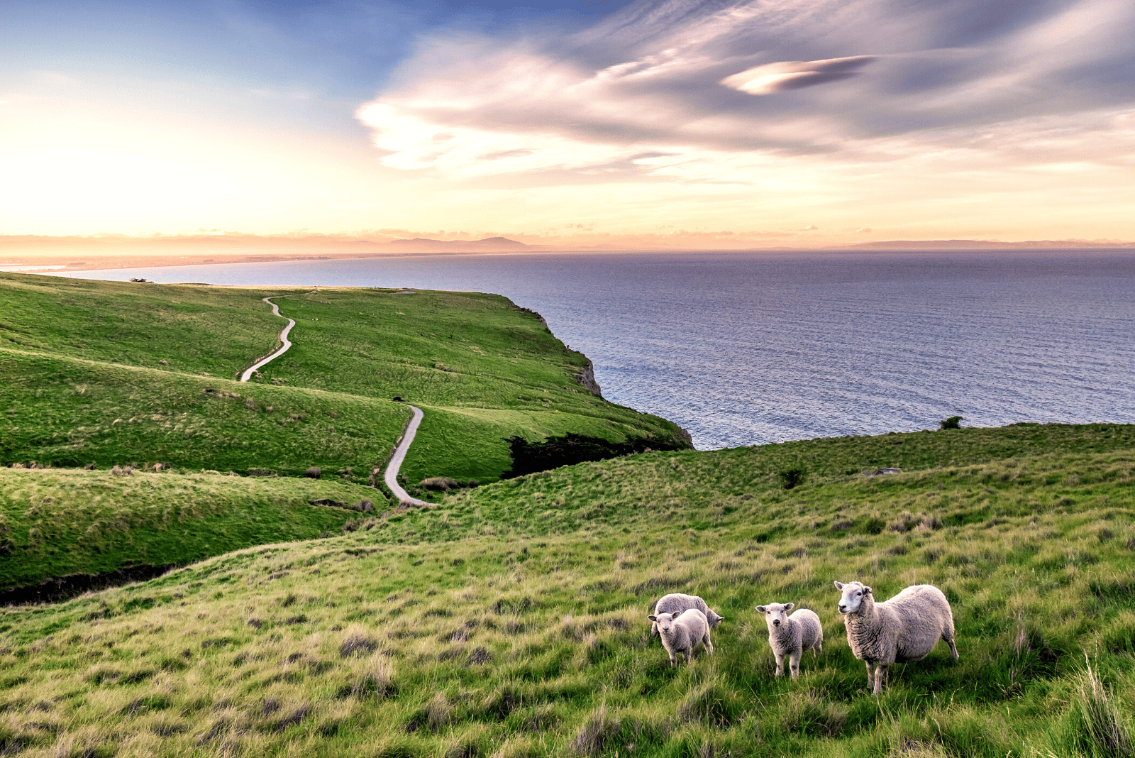 Christchurch, New Zealand