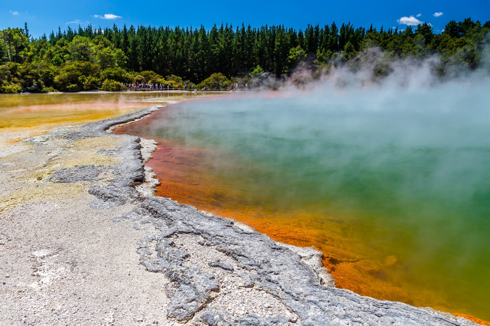 Lake Rotorua in New Zealand's North Island