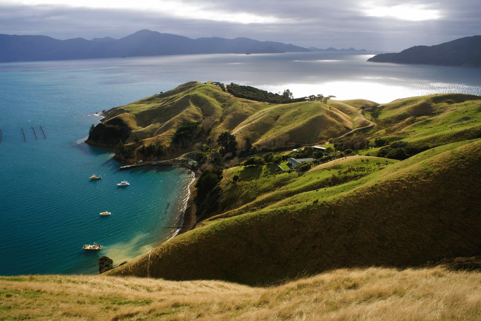 Marlborough Sounds walking, New Zealand