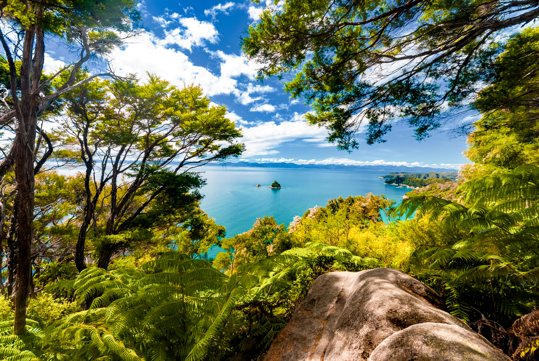 Abel Tasman view through the trees