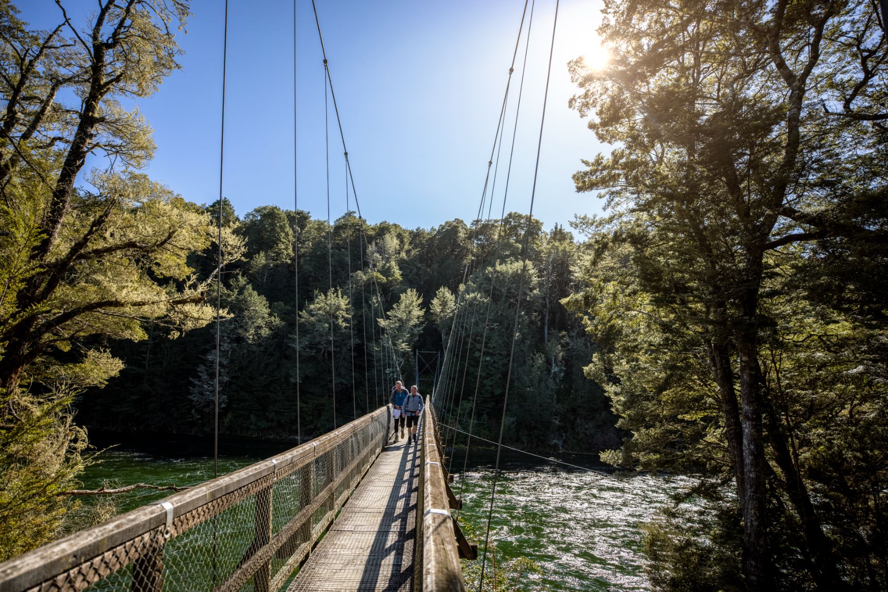 Walkers crossing a canopy bridge over a river on the Kepler Track in New Zealand
