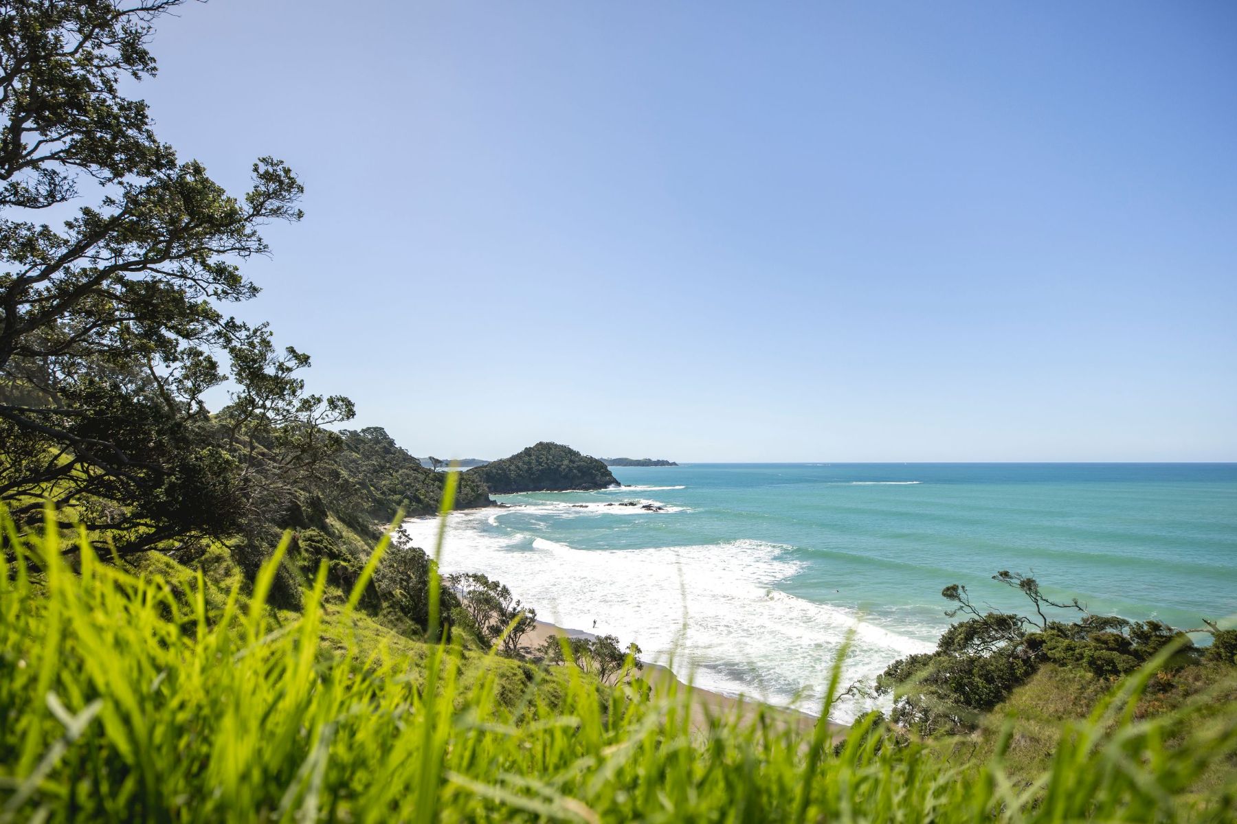 View of a beach in New Zealand 