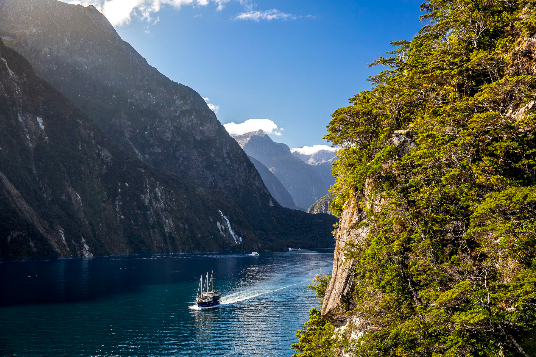 A boat tour through Milford Sound