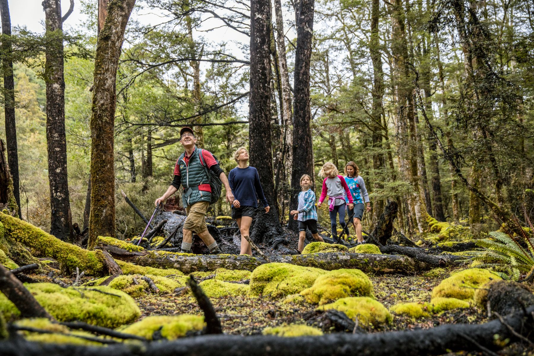 A group trekking through Nelson Forest