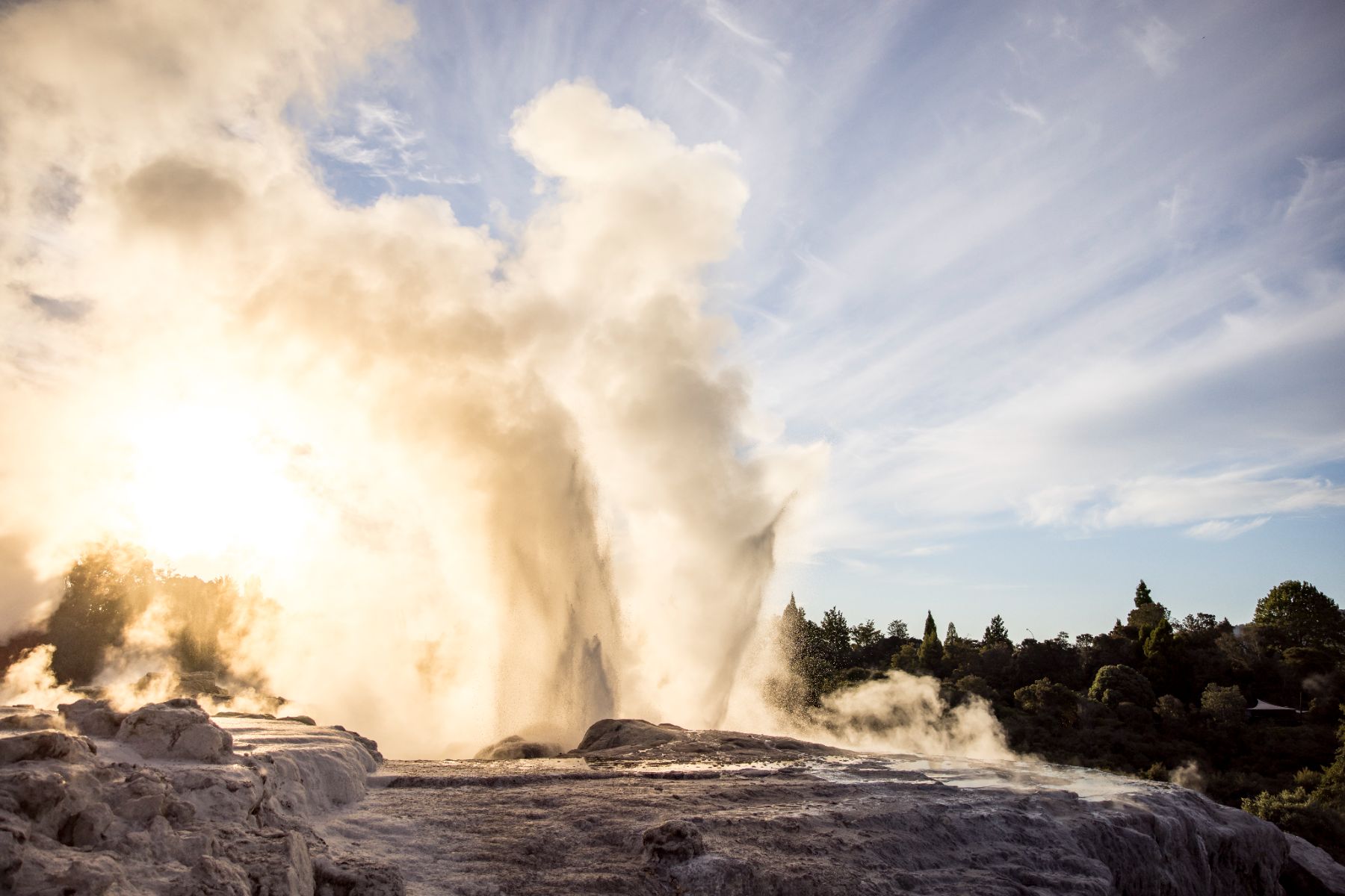 Geysers spouting in Rotorua