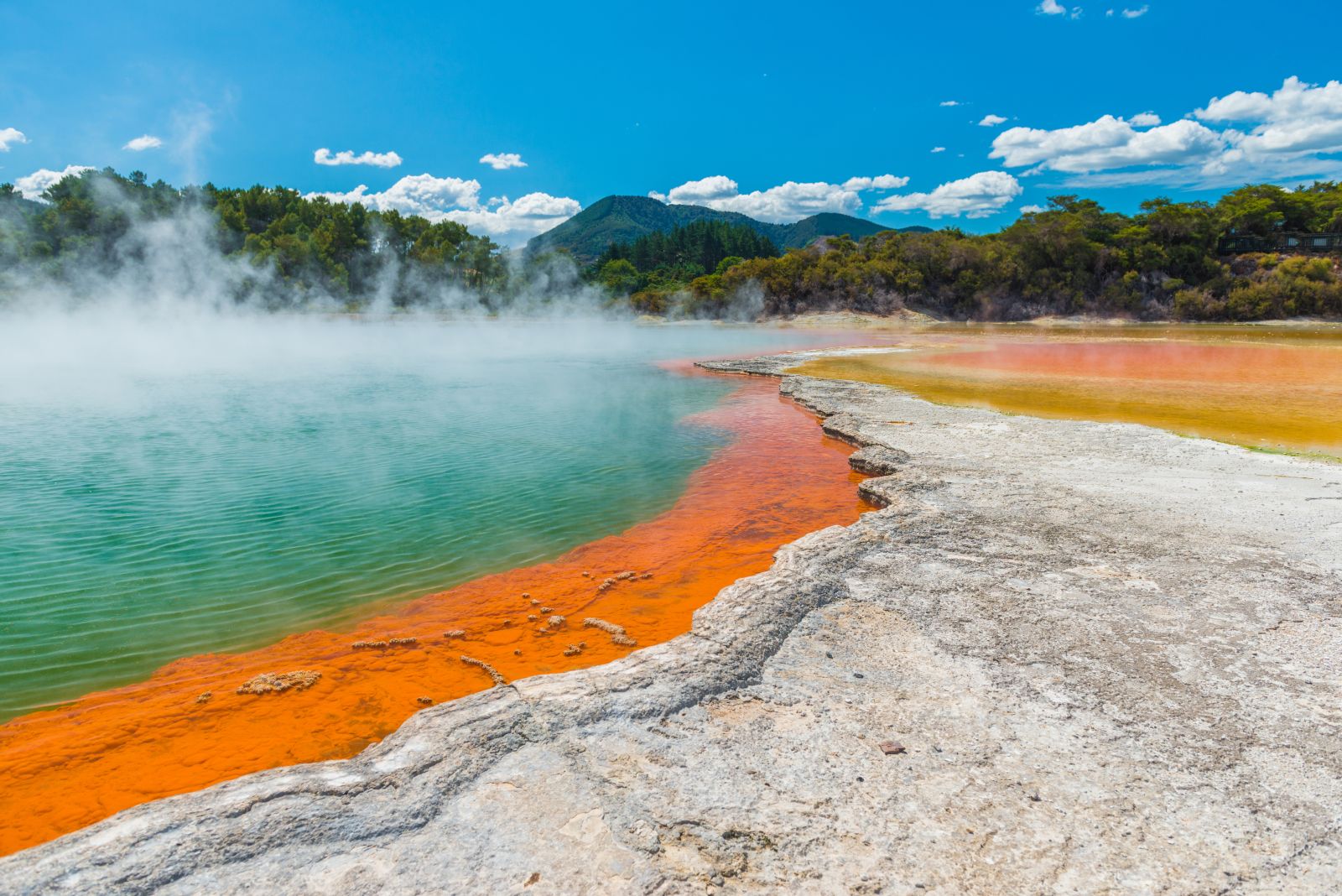Bright thermal pools at Wai-o-Tapu in Rotorua New Zealand