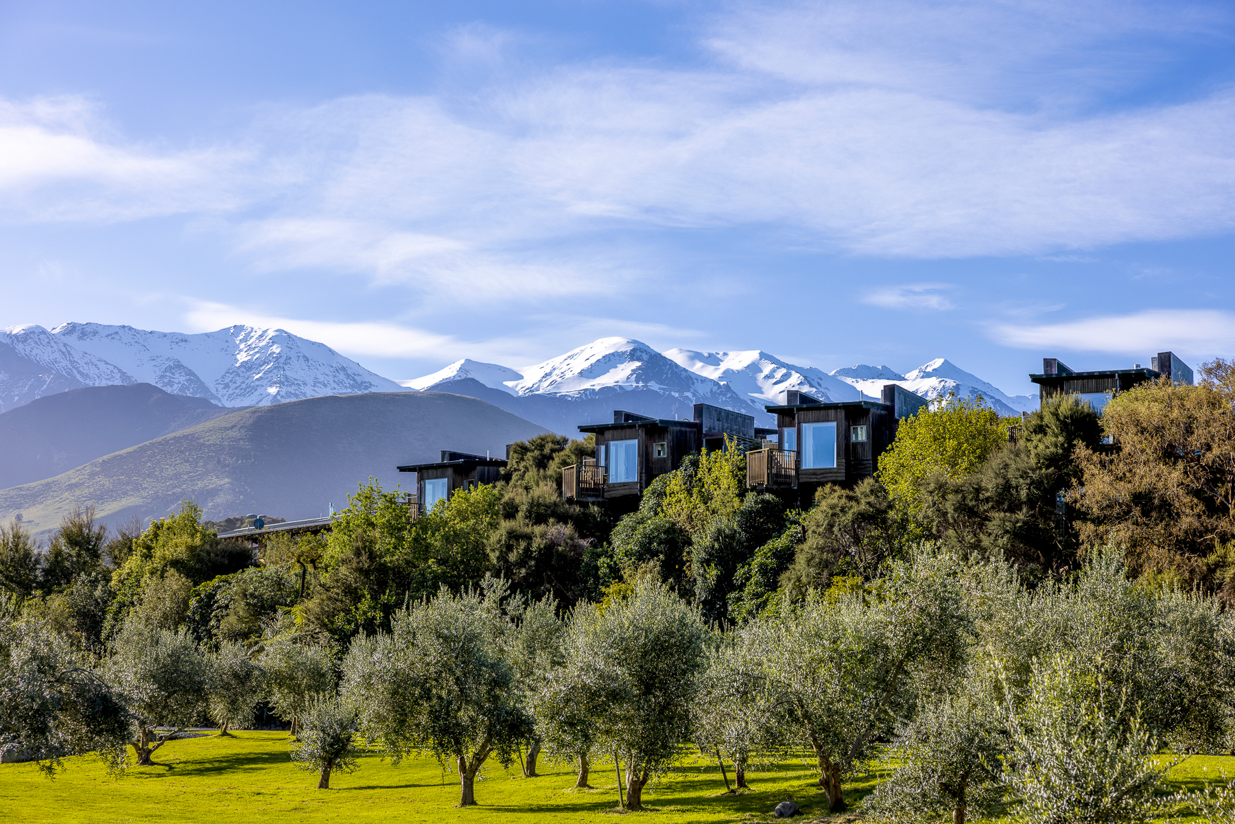 Treehouses at Hapuku in the Kaikoura region of New Zealand