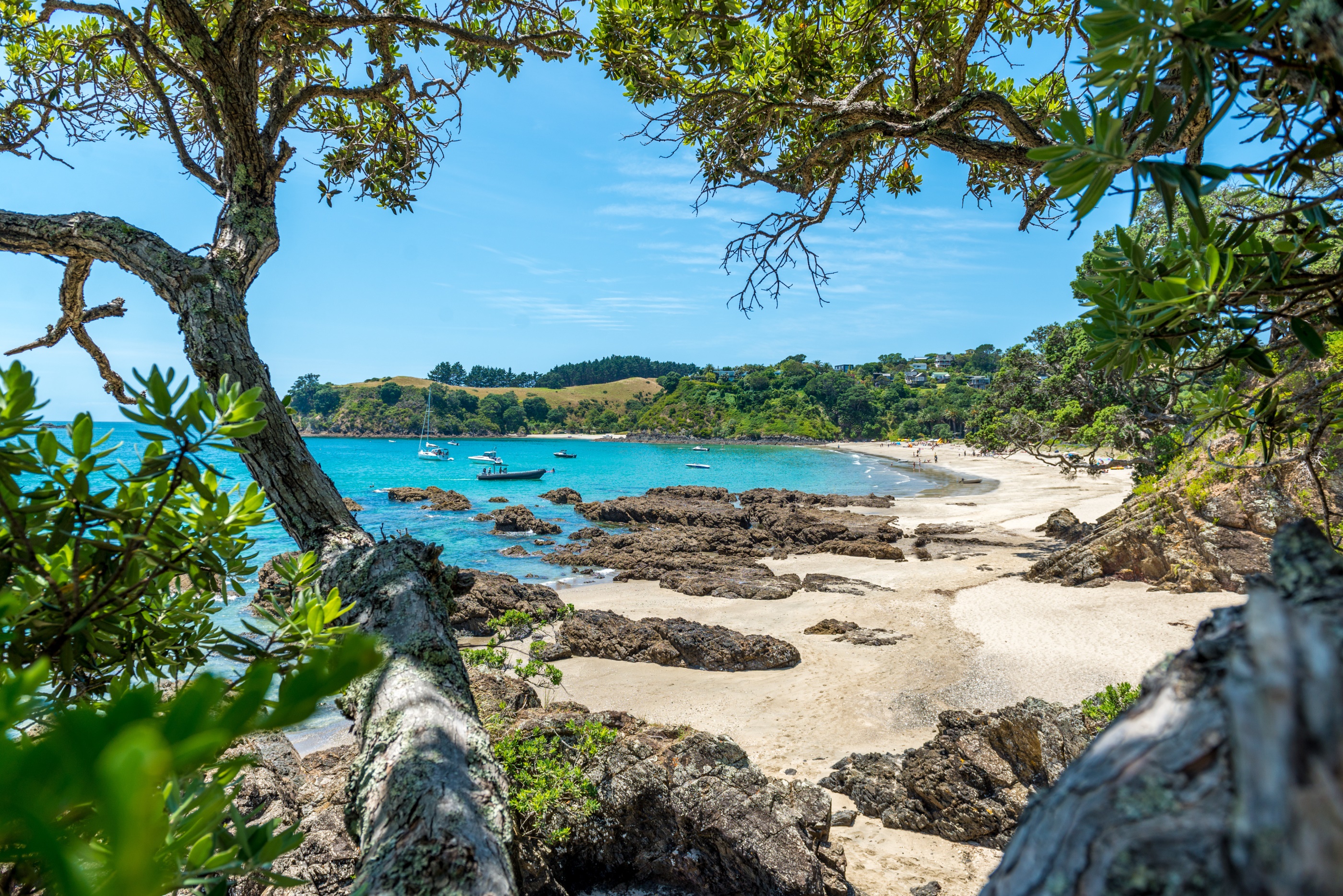 Waiheke Island in New Zealand