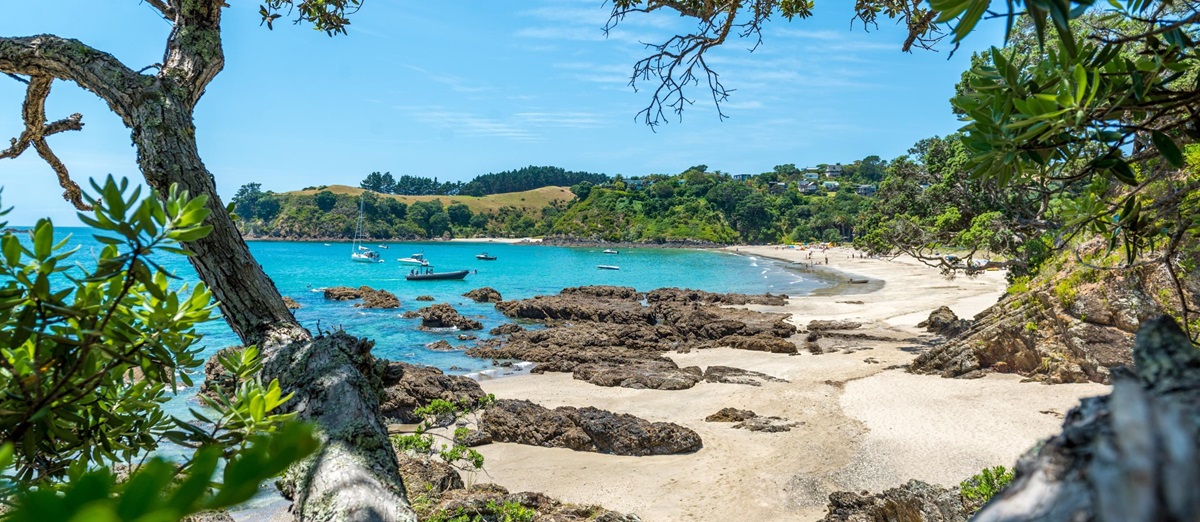 Waiheke Island in New Zealand