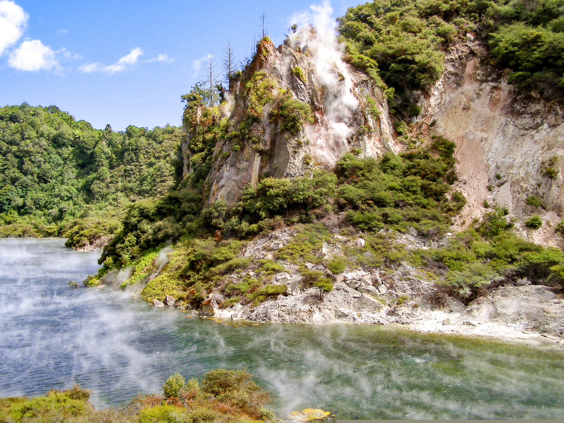 Volcanic lake in Waimangu, on New Zealand's North Island