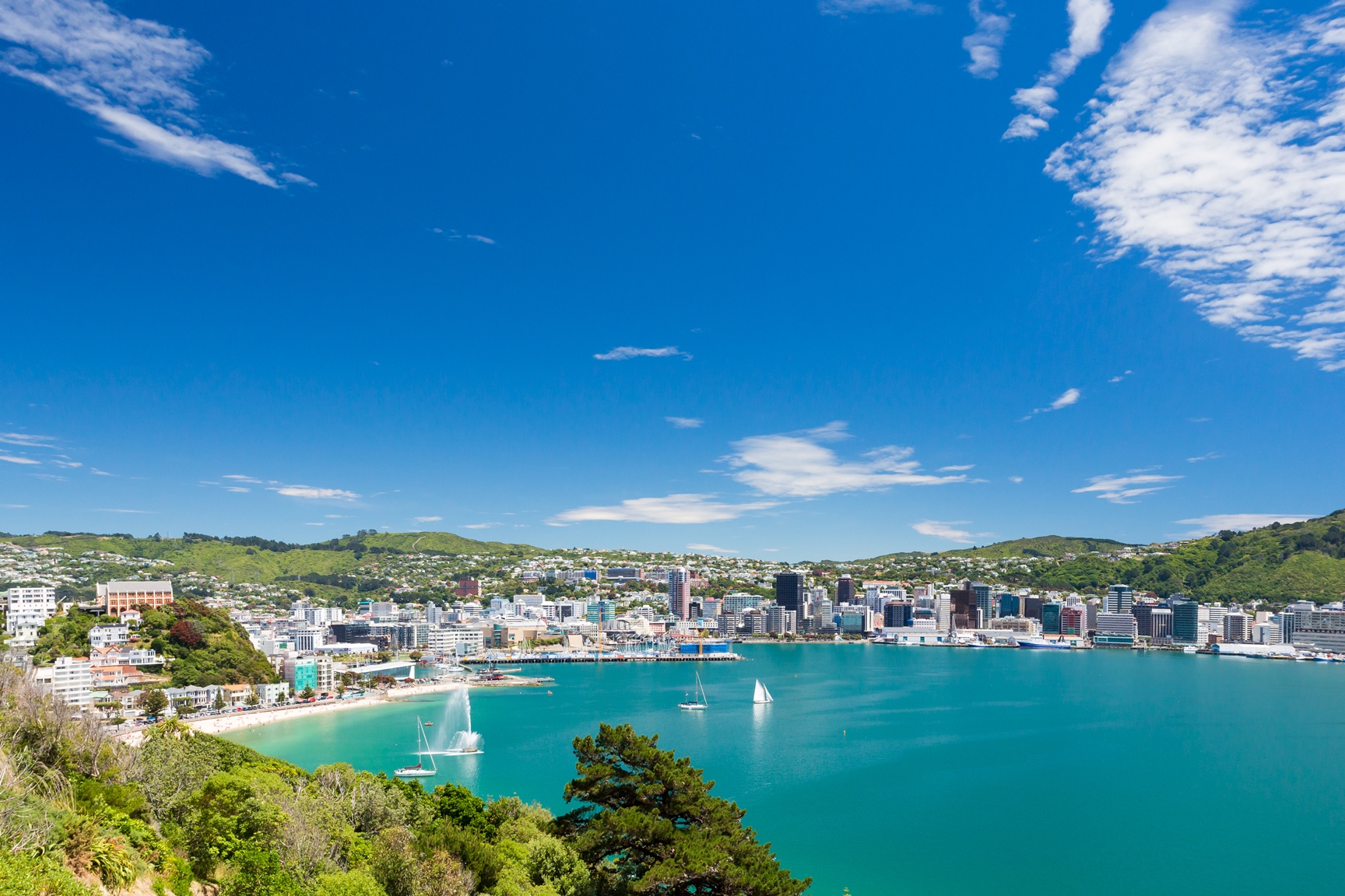 Wellington in New Zealand