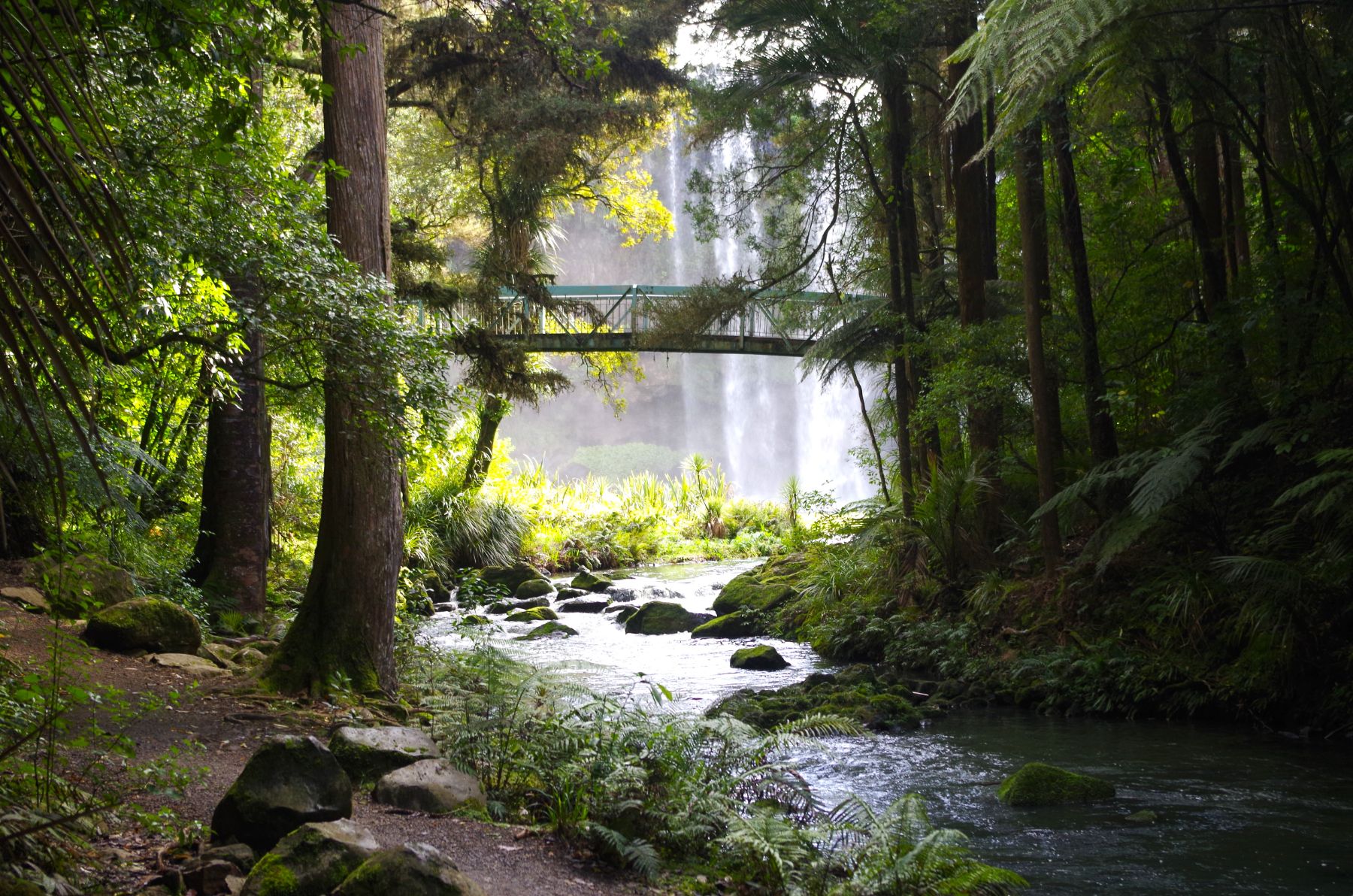 Bridge by the Whangarei Falls in New Zealand