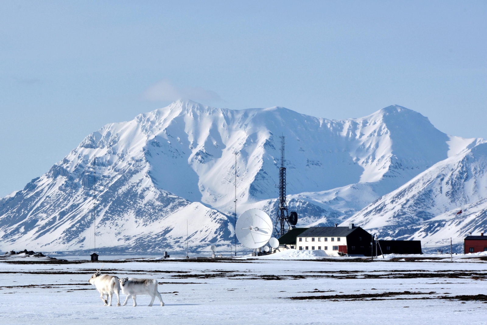 Assignment In Svalbard Tgp