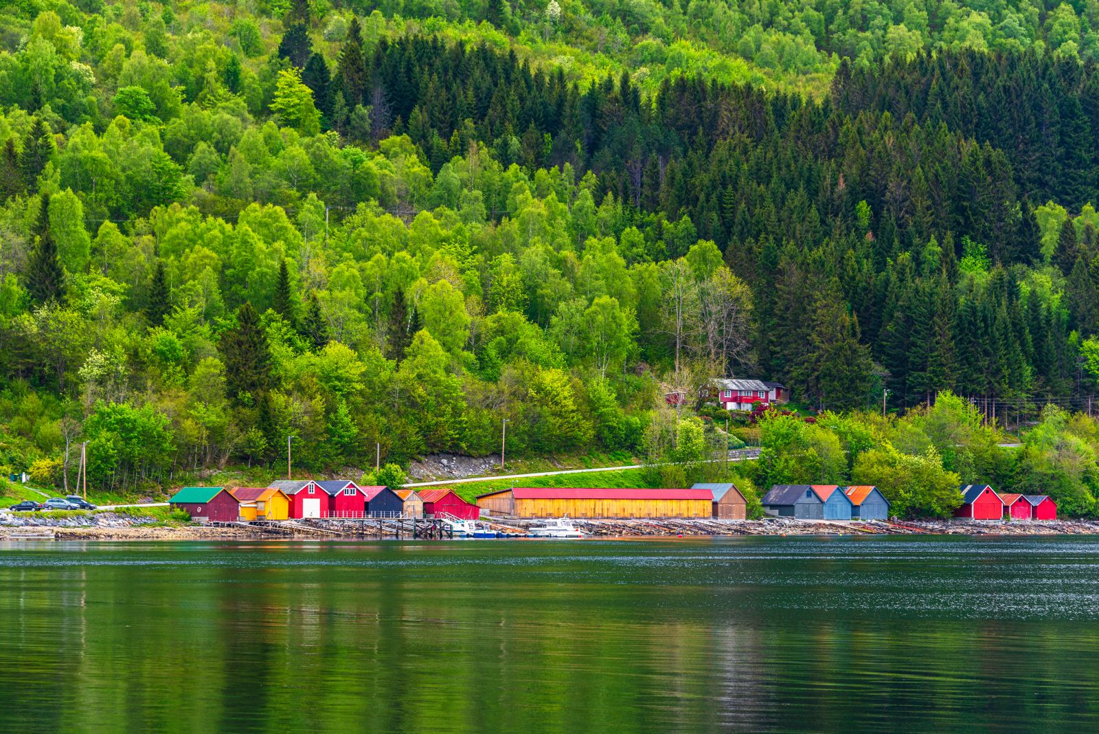 Colourful wooden huts against a backdrop of dense forest in Hjorundfjord Norway