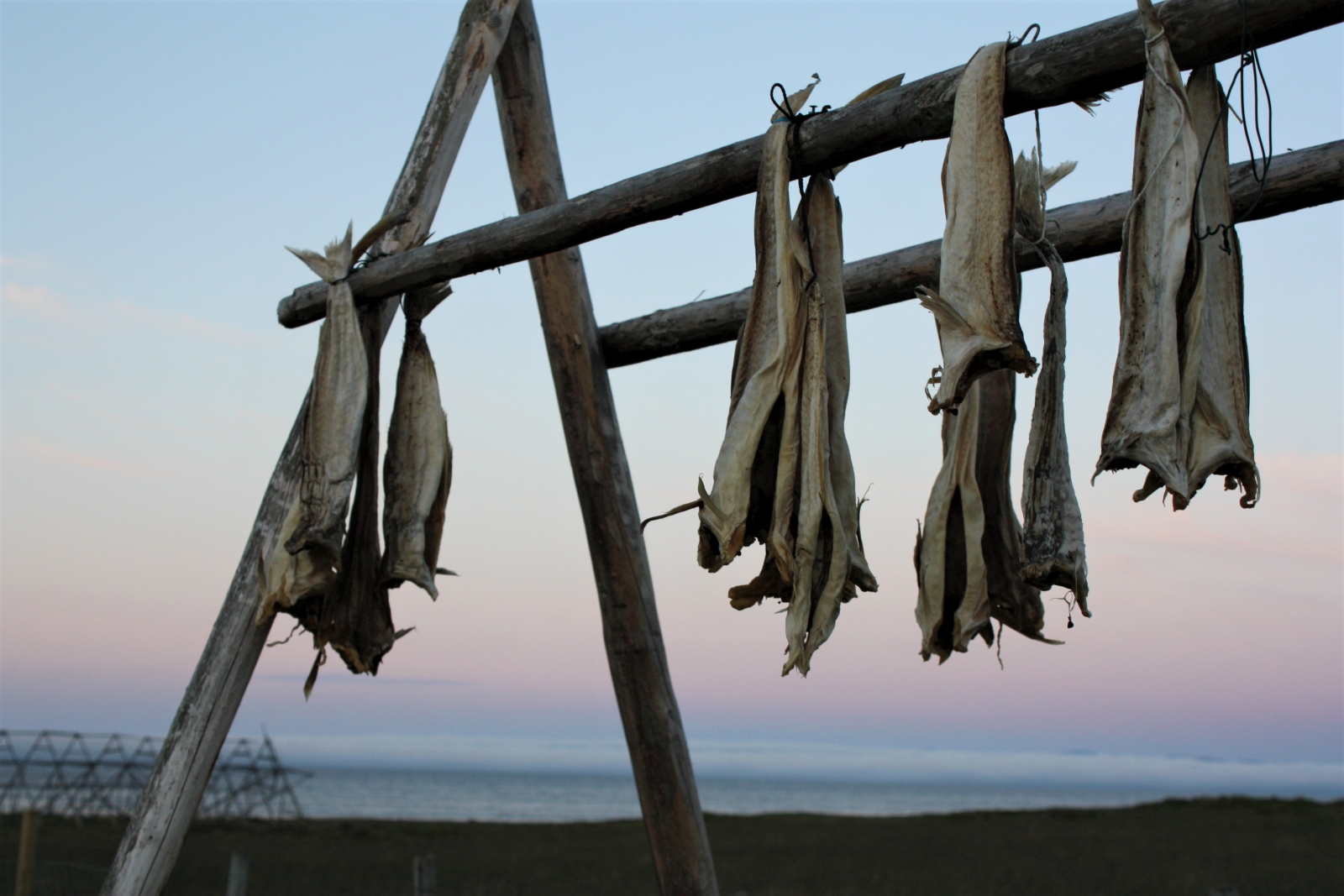 Ekkeroy hanging in Norway