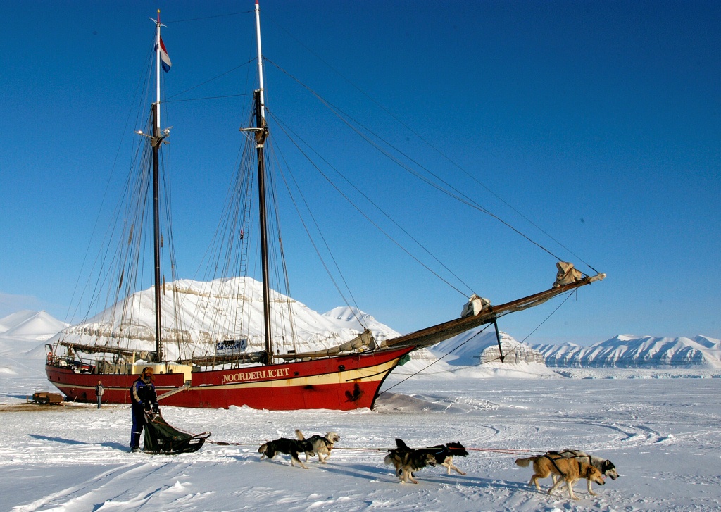 Svalbard dogs in front of Noorderlicht in Norway