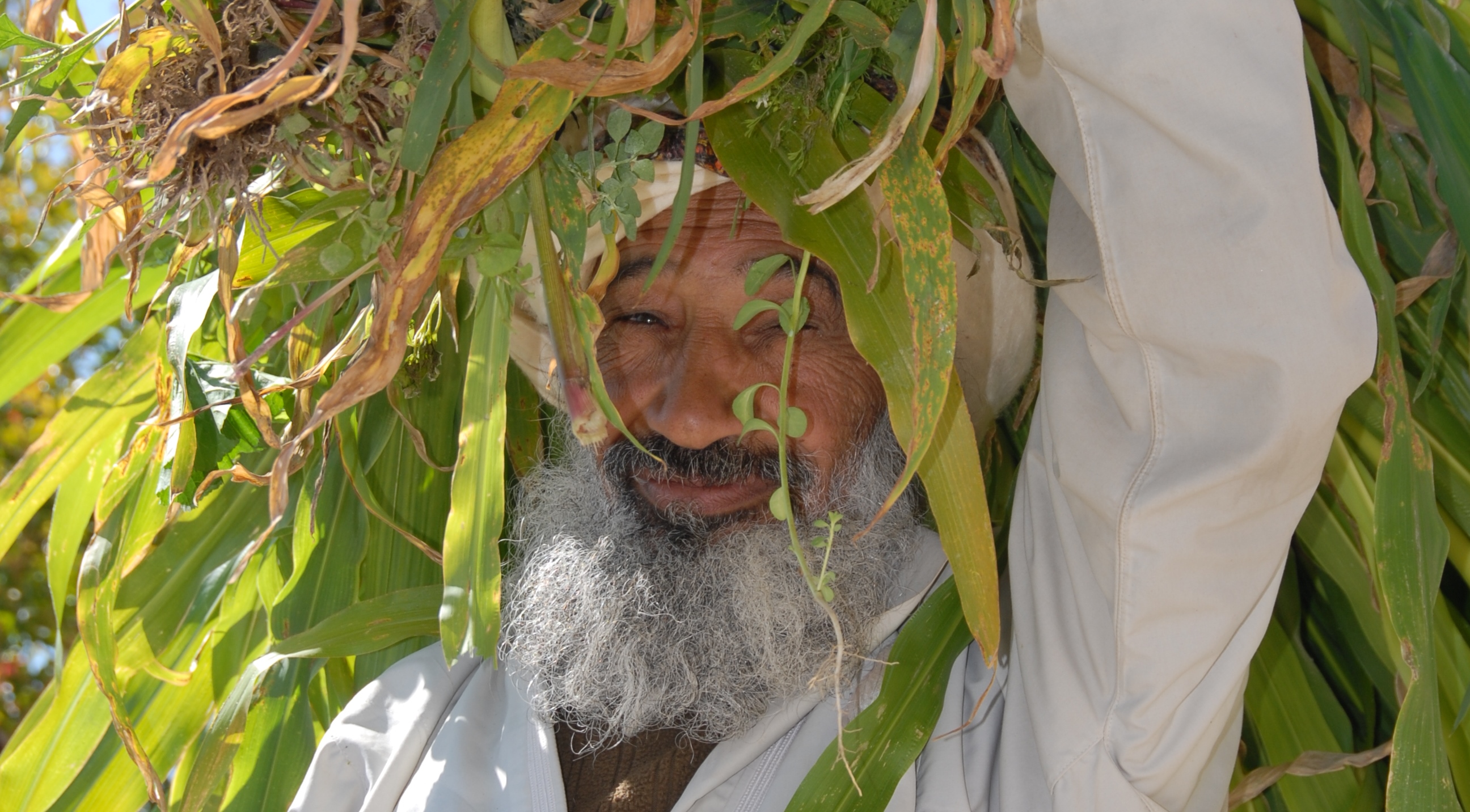 Farmer in Oman