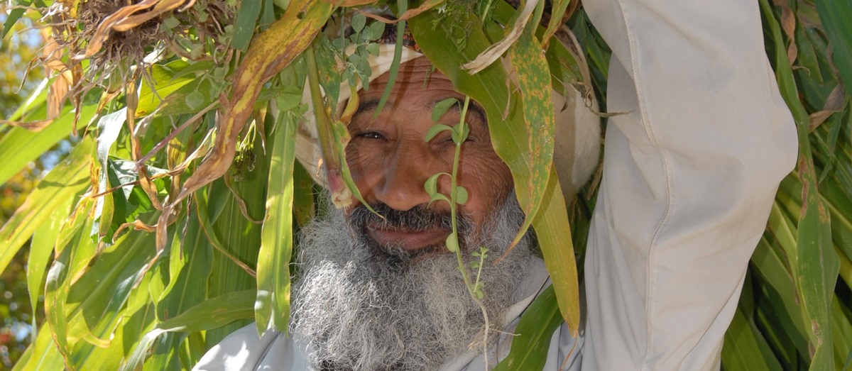 Farmer in Oman
