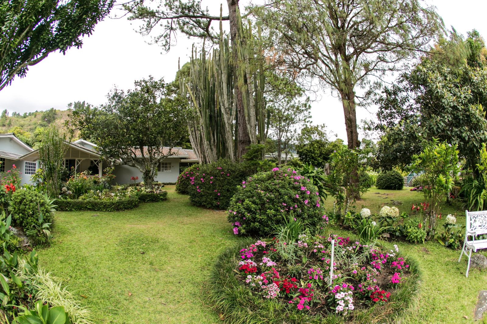 Gardens surrounding Hotel Panamonte in the Chiriqui region of Panama